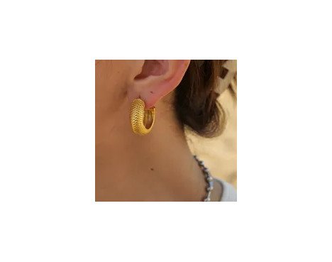 1 Paire Commuer Des Écailles De Poisson Placage Acier Inoxydable Plaqué Or 18k Des Boucles D'oreilles