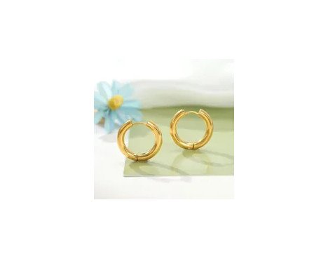 1 Paire Style Simple Rond Placage Acier Inoxydable Plaqué Or 18k Des Boucles D'oreilles