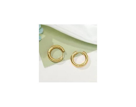 1 Paire Style Simple Rond Placage Acier Inoxydable Plaqué Or 18k Des Boucles D'oreilles