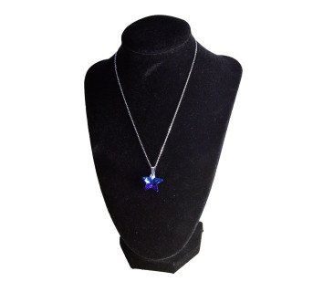 Collier en acier inoxydable argenté avec pendentif étoile bleu saphir